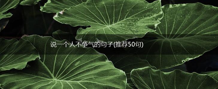 说一个人不争气的句子(推荐50句),第1张