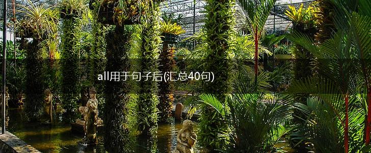 all用于句子后(汇总40句),第1张