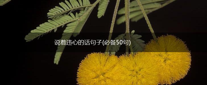 说着违心的话句子(必备50句),第1张