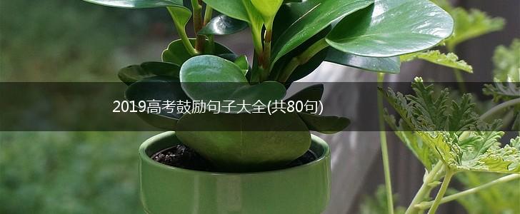 2019高考鼓励句子大全(共80句),第1张