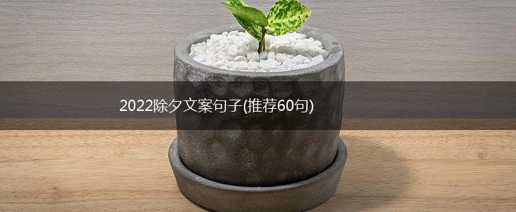 2022除夕文案句子(推荐60句),第1张