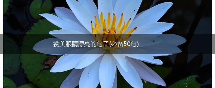 赞美眼睛漂亮的句子(必备50句),第1张
