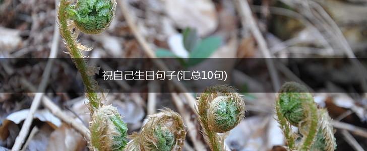 祝自己生日句子(汇总10句),第1张