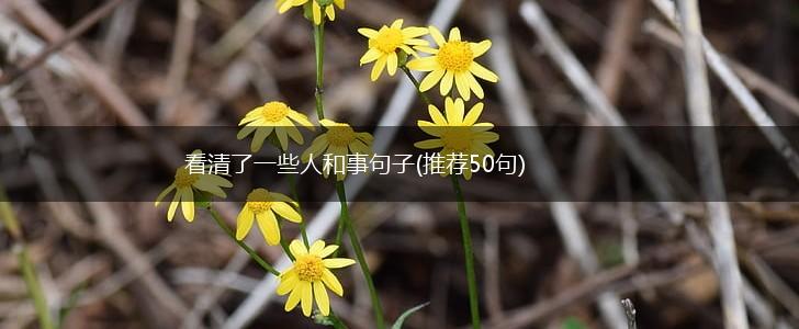 看清了一些人和事句子(推荐50句),第1张