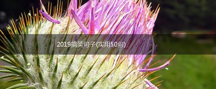 2019搞笑句子(实用50句),第1张