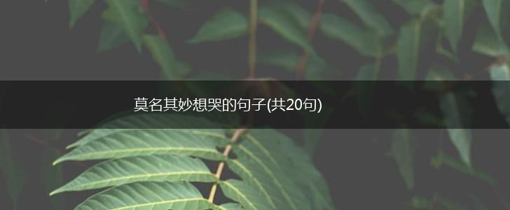 莫名其妙想哭的句子(共20句),第1张