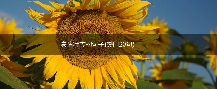 豪情壮志的句子(热门20句),第1张