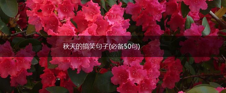 秋天的搞笑句子(必备50句),第1张