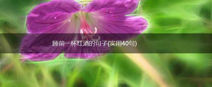 睡前一杯红酒的句子(实用40句),第1张