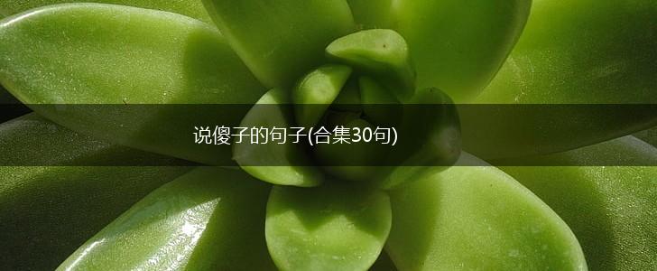 说傻子的句子(合集30句),第1张