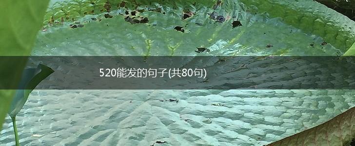 520能发的句子(共80句),第1张