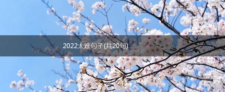 2022太难句子(共20句),第1张