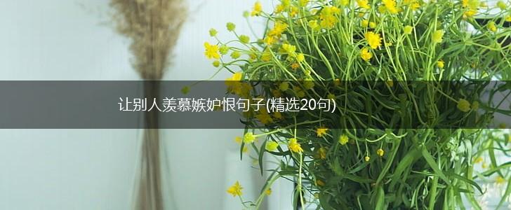 让别人羡慕嫉妒恨句子(精选20句),第1张