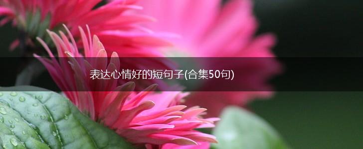 表达心情好的短句子(合集50句),第1张