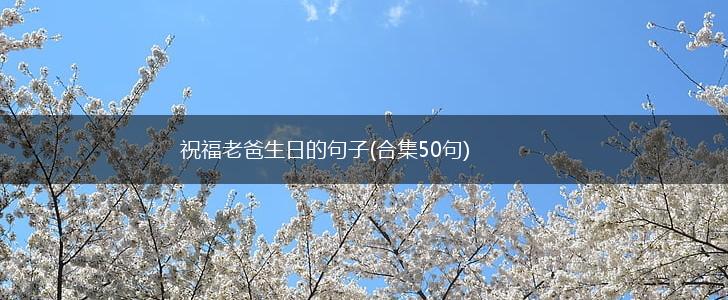 祝福老爸生日的句子(合集50句),第1张