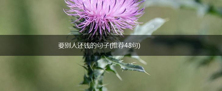 要别人还钱的句子(推荐48句),第1张