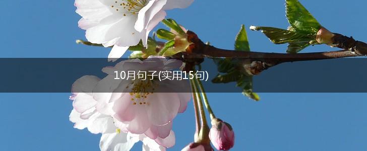 10月句子(实用15句),第1张