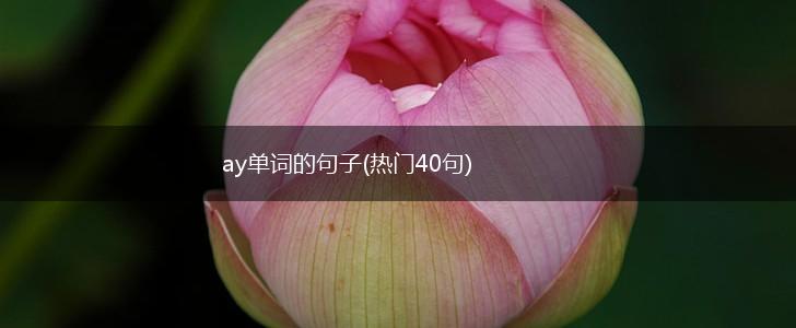 ay单词的句子(热门40句),第1张
