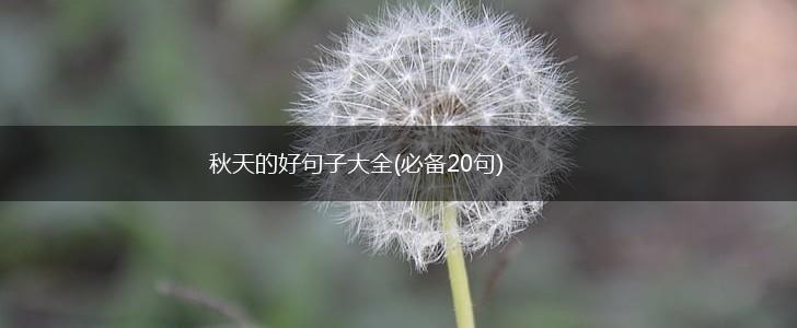 秋天的好句子大全(必备20句),第1张