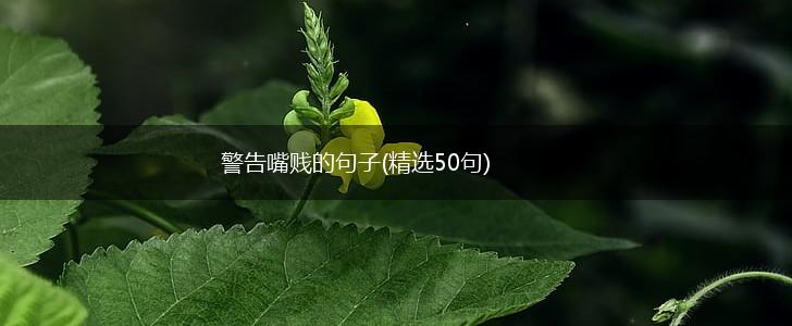 警告嘴贱的句子(精选50句),第1张