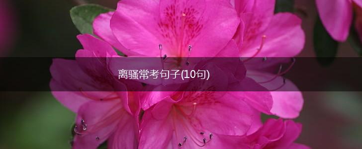 离骚常考句子(10句),第1张