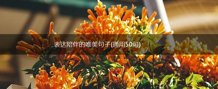 表达陪伴的唯美句子(通用50句),第1张