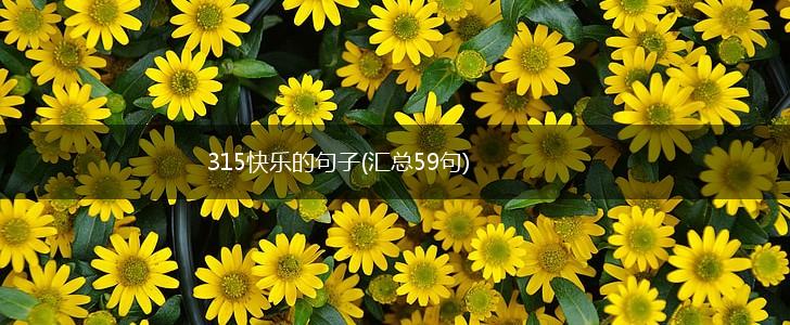 315快乐的句子(汇总59句),第1张