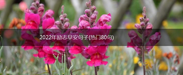 2022年励志早安句子(热门80句),第1张
