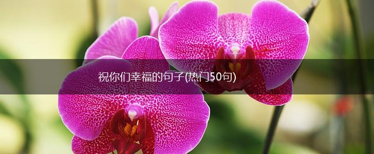 祝你们幸福的句子(热门50句),第1张