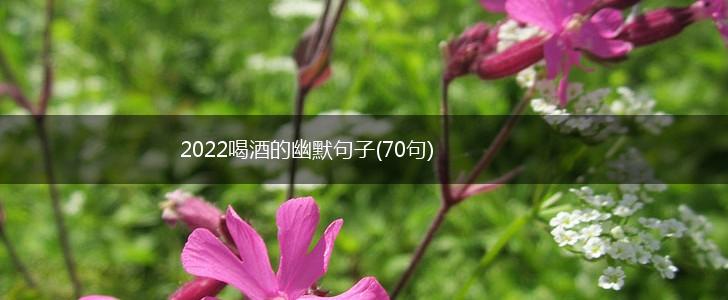 2022喝酒的幽默句子(70句),第1张