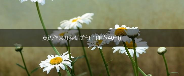 英语作文开头优美句子(推荐40句),第1张