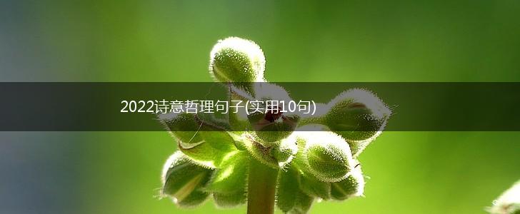 2022诗意哲理句子(实用10句),第1张