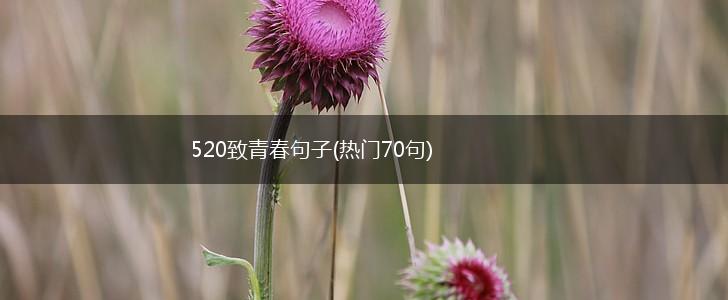 520致青春句子(热门70句),第1张