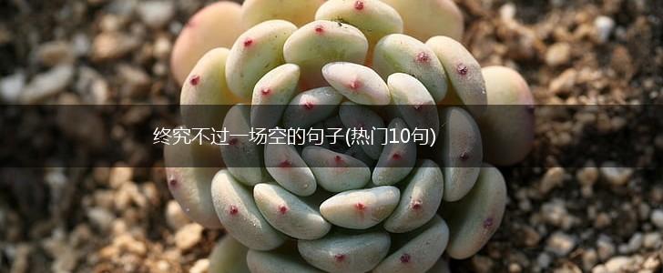 终究不过一场空的句子(热门10句),第1张