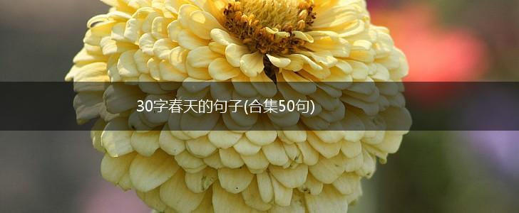30字春天的句子(合集50句),第1张