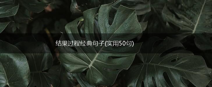 结果过程经典句子(实用50句),第1张