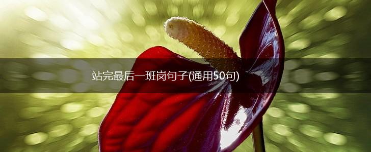 站完最后一班岗句子(通用50句),第1张