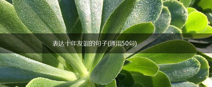 表达十年友谊的句子(通用50句),第1张