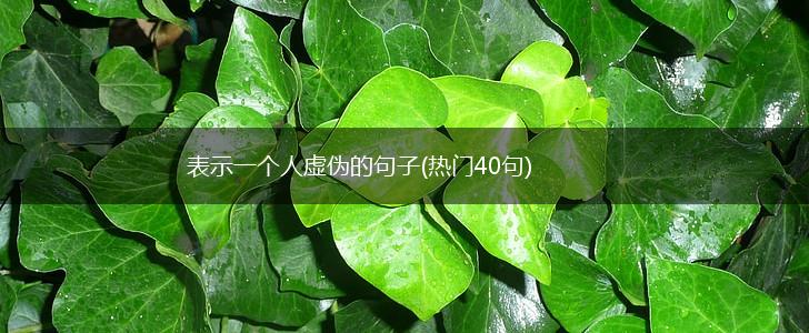 表示一个人虚伪的句子(热门40句),第1张