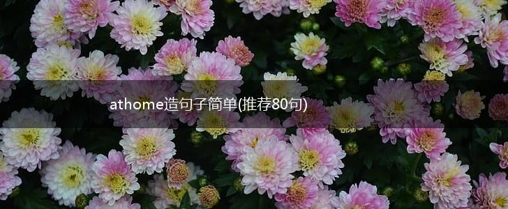 athome造句子简单(推荐80句),第1张