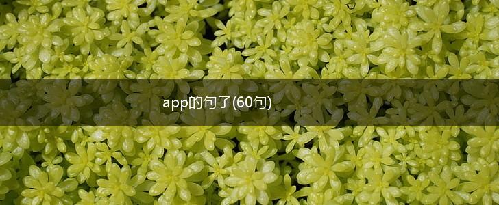 app的句子(60句),第1张