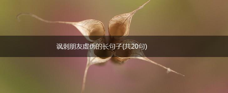 讽刺朋友虚伪的长句子(共20句),第1张