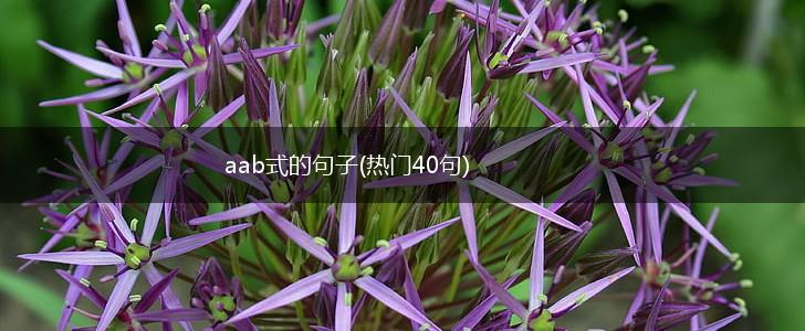 aab式的句子(热门40句),第1张