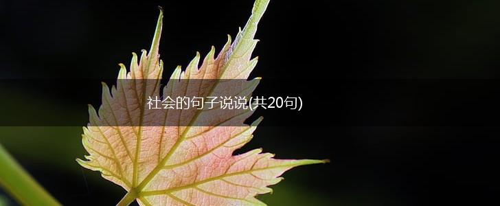 社会的句子说说(共20句),第1张