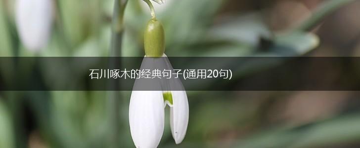 石川啄木的经典句子(通用20句),第1张