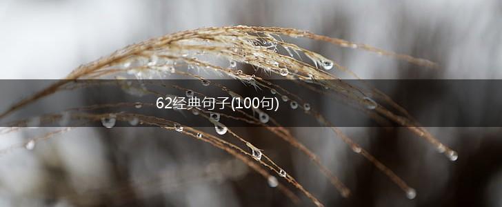 62经典句子(100句),第1张
