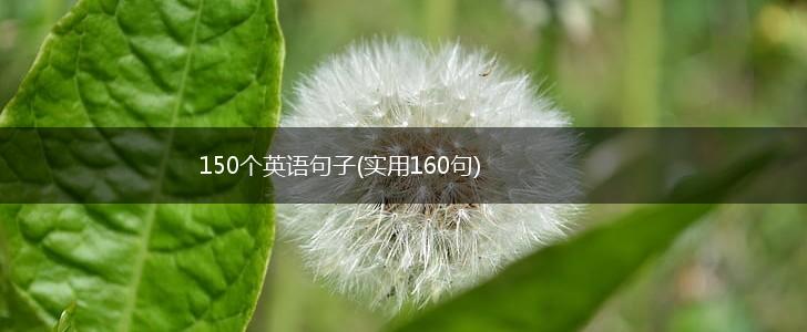 150个英语句子(实用160句),第1张