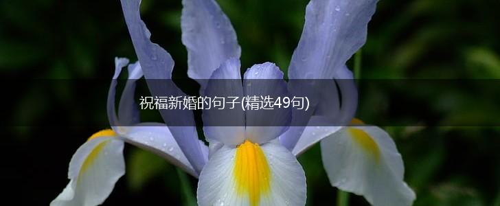 祝福新婚的句子(精选49句),第1张