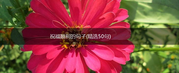 祝福顺利的句子(精选50句),第1张