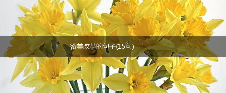 赞美改革的句子(15句),第1张